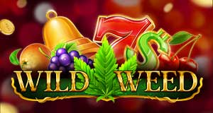 casino-banner