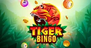 casino-banner
