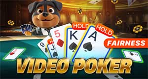 casino-banner
